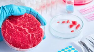 carne sintetica laboratorio